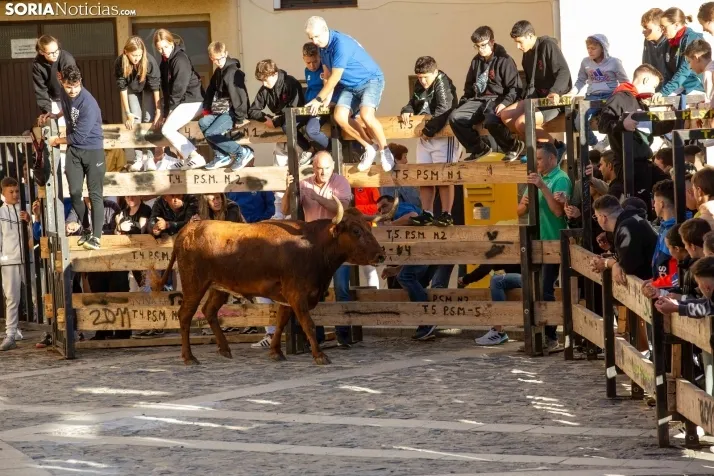 Encierro Ágreda 2023