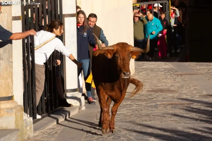 Encierro Ágreda 2023