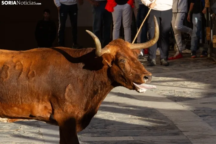 Encierro Ágreda 2023