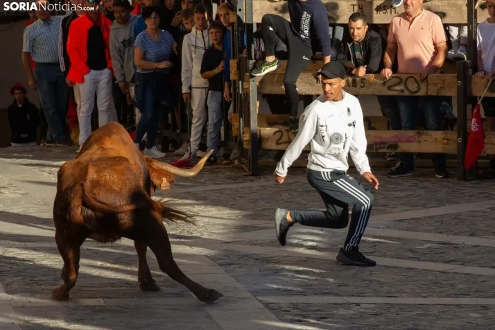 Encierro Ágreda 2023
