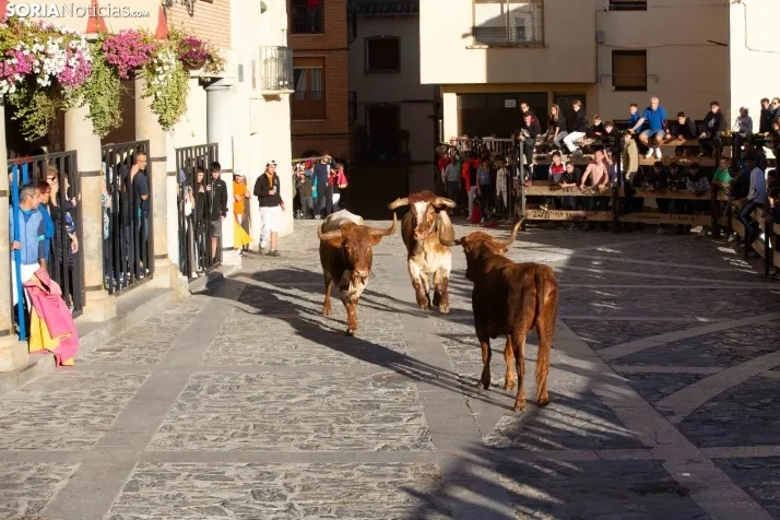 Encierro Ágreda 2023
