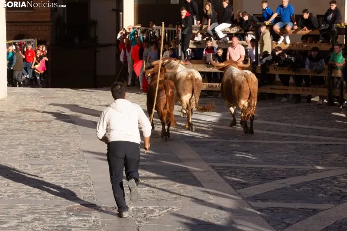 Encierro Ágreda 2023