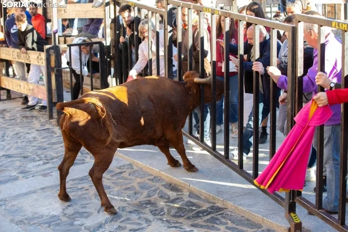 Encierro Ágreda 2023