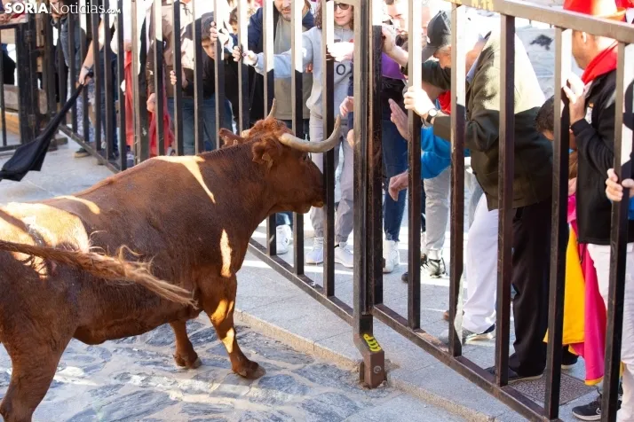 Encierro Ágreda 2023
