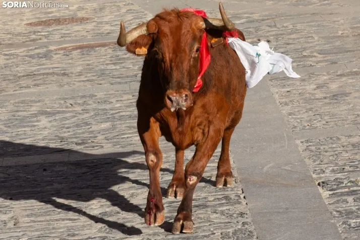 Encierro Ágreda 2023