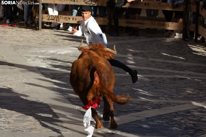 Encierro Ágreda 2023