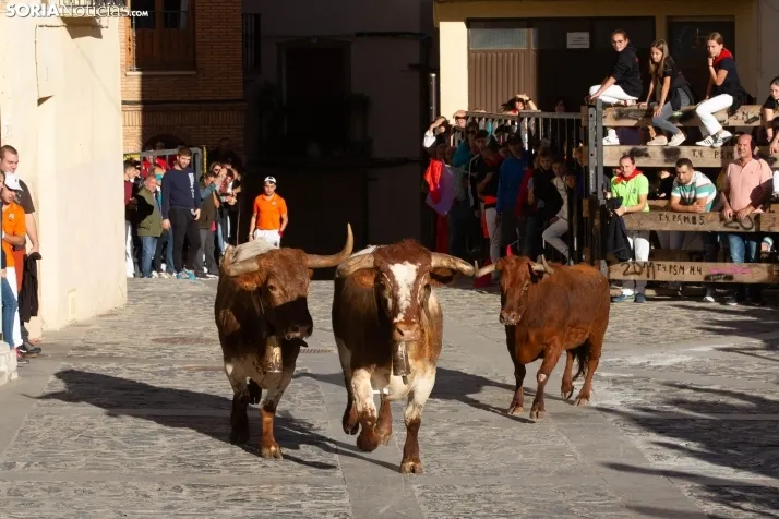 Encierro Ágreda 2023