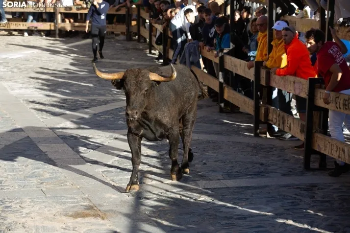 Encierro Ágreda 2023