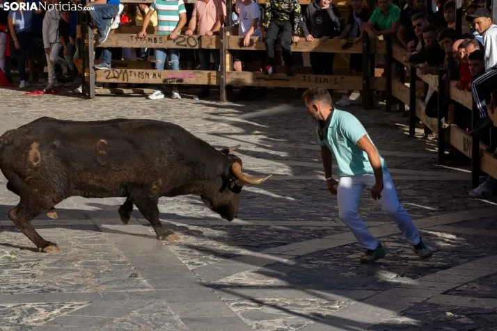 Encierro Ágreda 2023