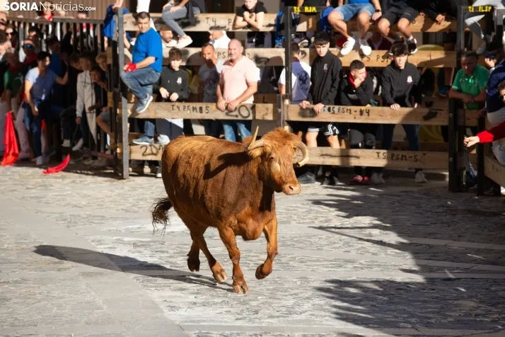 Encierro Ágreda 2023
