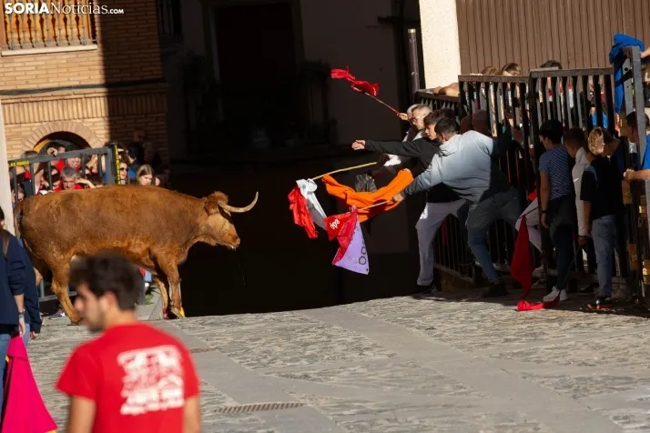 Encierro Ágreda 2023