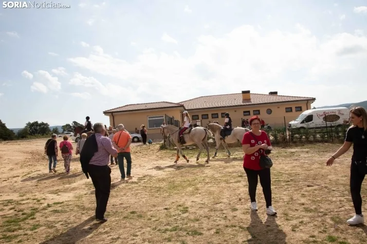 Feria Ganadera en Covaleda