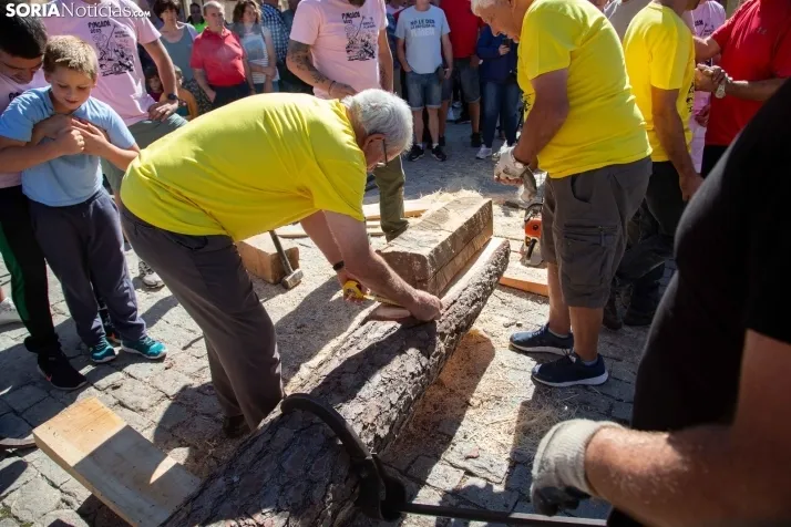 Mayo y pregón de las fiestas de Duruelo
