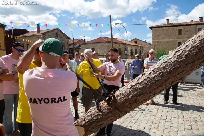 Mayo y pregón de las fiestas de Duruelo