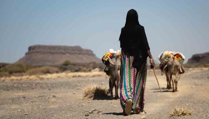 Castilla y León rinde homenaje a sus 267 cooperantes destinados en países extranjeros