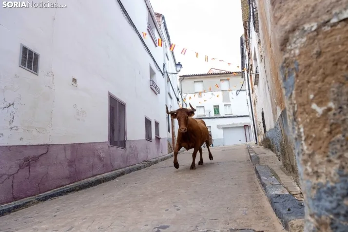 En im&aacute;genes: Emocionante encierro por las calles de &Oacute;lvega
