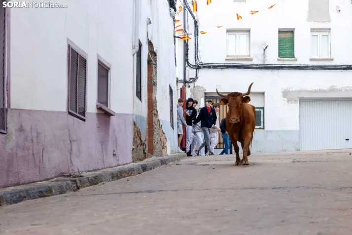 En im&aacute;genes: Emocionante encierro por las calles de &Oacute;lvega