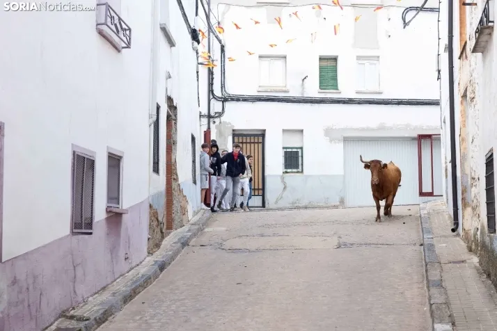 En im&aacute;genes: Emocionante encierro por las calles de &Oacute;lvega