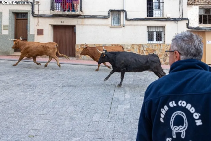 En im&aacute;genes: Emocionante encierro por las calles de &Oacute;lvega