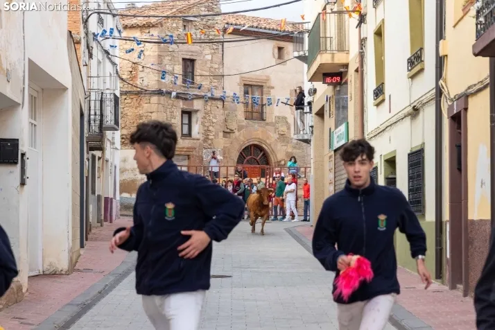 En im&aacute;genes: Emocionante encierro por las calles de &Oacute;lvega