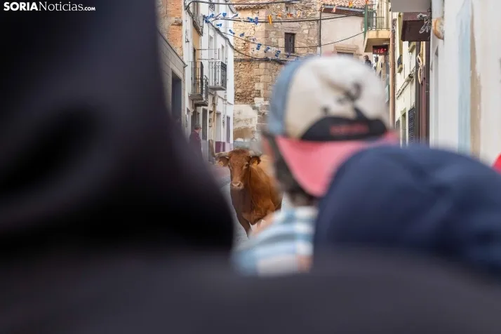 En im&aacute;genes: Emocionante encierro por las calles de &Oacute;lvega