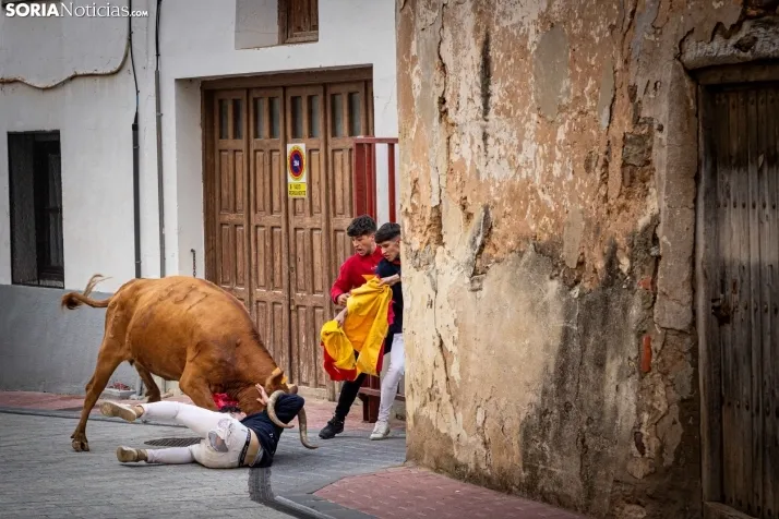 En im&aacute;genes: Emocionante encierro por las calles de &Oacute;lvega