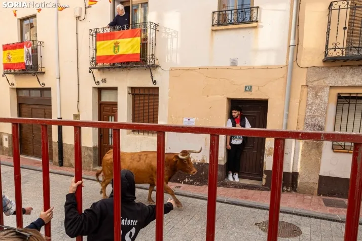En im&aacute;genes: Emocionante encierro por las calles de &Oacute;lvega