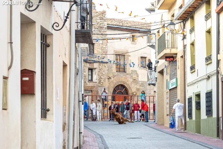 En im&aacute;genes: Emocionante encierro por las calles de &Oacute;lvega