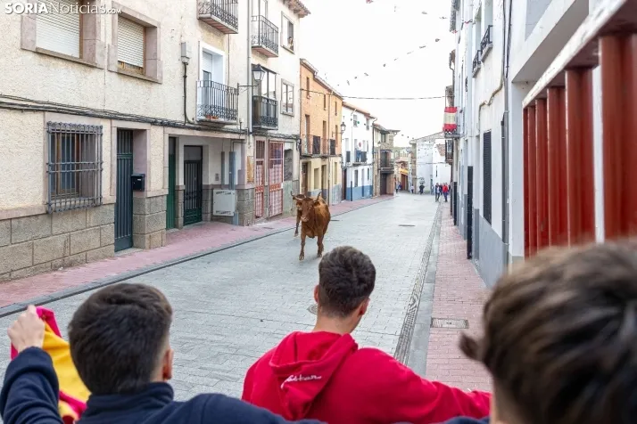 En im&aacute;genes: Emocionante encierro por las calles de &Oacute;lvega