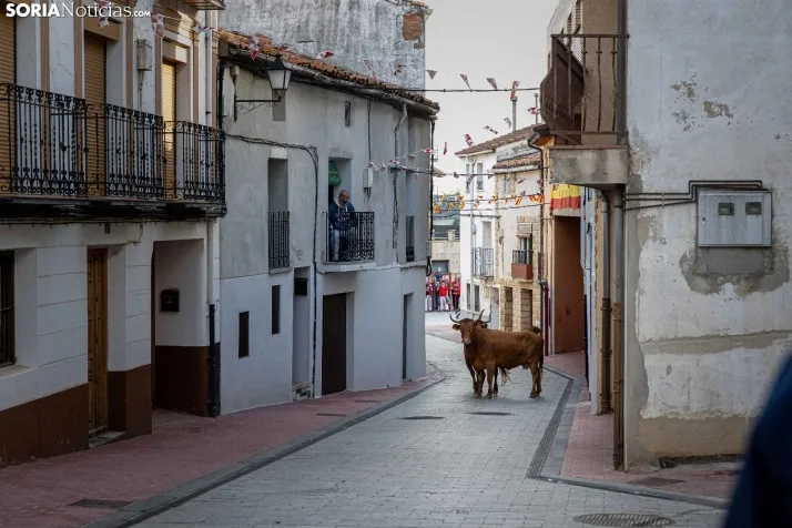 En im&aacute;genes: Emocionante encierro por las calles de &Oacute;lvega