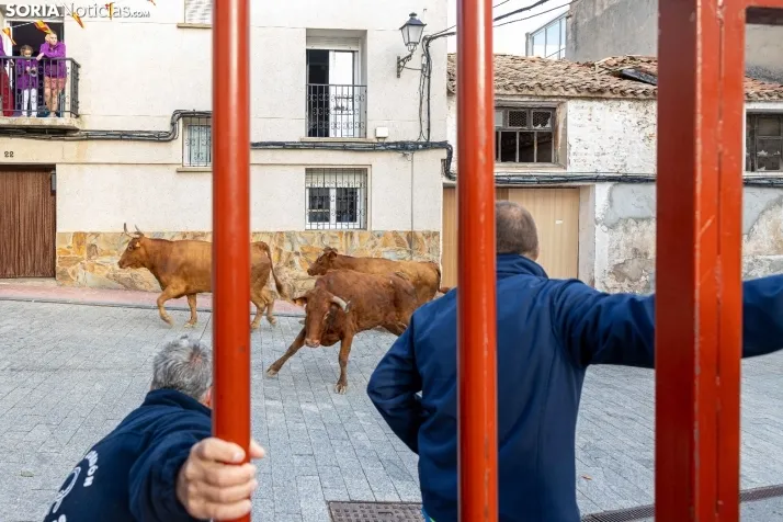 En im&aacute;genes: Emocionante encierro por las calles de &Oacute;lvega