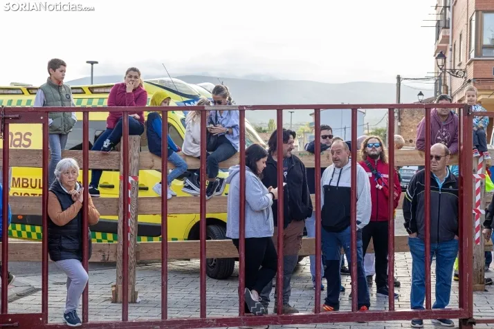 En im&aacute;genes: Emocionante encierro por las calles de &Oacute;lvega
