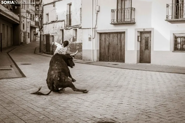 En im&aacute;genes: Emocionante encierro por las calles de &Oacute;lvega