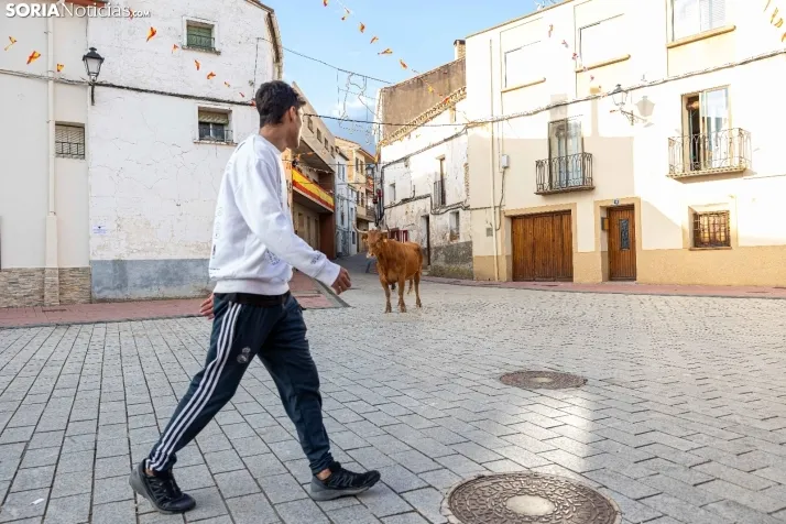 En im&aacute;genes: Emocionante encierro por las calles de &Oacute;lvega