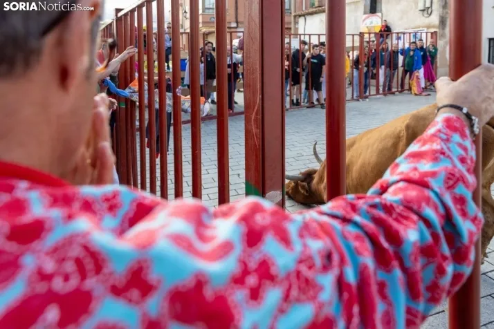 En im&aacute;genes: Emocionante encierro por las calles de &Oacute;lvega