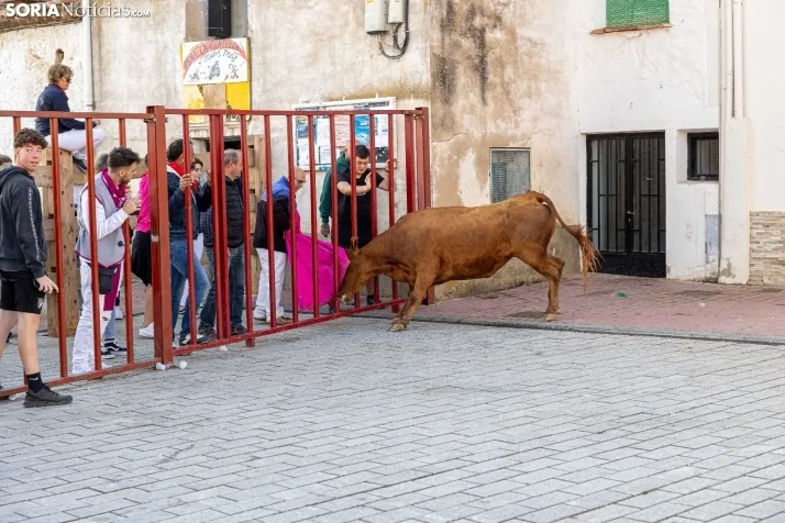 En im&aacute;genes: Emocionante encierro por las calles de &Oacute;lvega