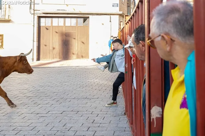 En im&aacute;genes: Emocionante encierro por las calles de &Oacute;lvega