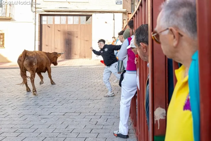 En im&aacute;genes: Emocionante encierro por las calles de &Oacute;lvega