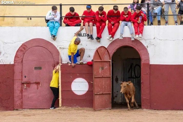 Galer&iacute;a: El Gran Prix pone el broche de oro a las fiestas de Arcos de Jal&oacute;n
