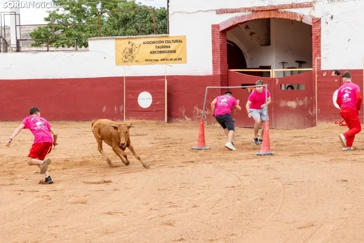 Galer&iacute;a: El Gran Prix pone el broche de oro a las fiestas de Arcos de Jal&oacute;n