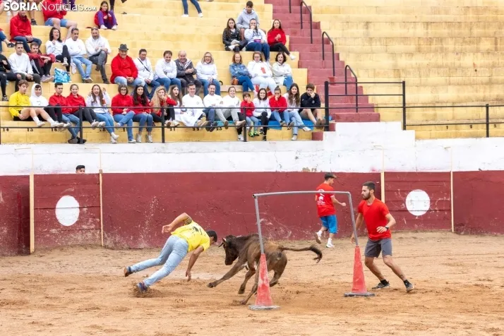 Galer&iacute;a: El Gran Prix pone el broche de oro a las fiestas de Arcos de Jal&oacute;n