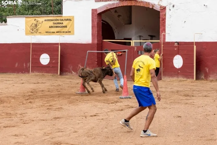 Galer&iacute;a: El Gran Prix pone el broche de oro a las fiestas de Arcos de Jal&oacute;n