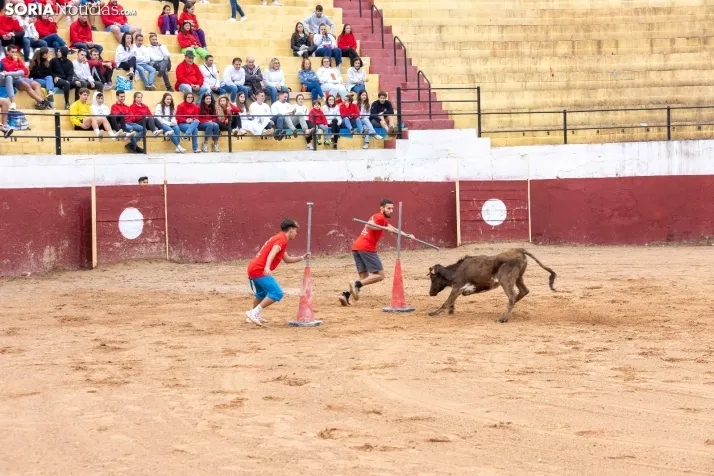 Galer&iacute;a: El Gran Prix pone el broche de oro a las fiestas de Arcos de Jal&oacute;n