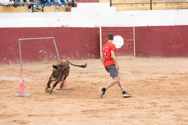 Galer&iacute;a: El Gran Prix pone el broche de oro a las fiestas de Arcos de Jal&oacute;n