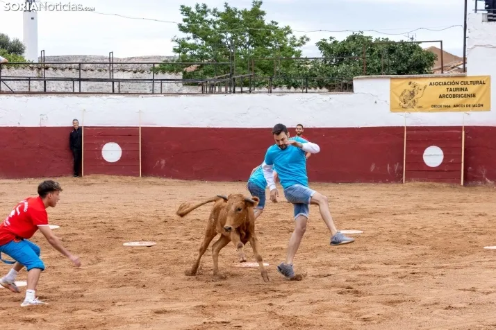 Galer&iacute;a: El Gran Prix pone el broche de oro a las fiestas de Arcos de Jal&oacute;n