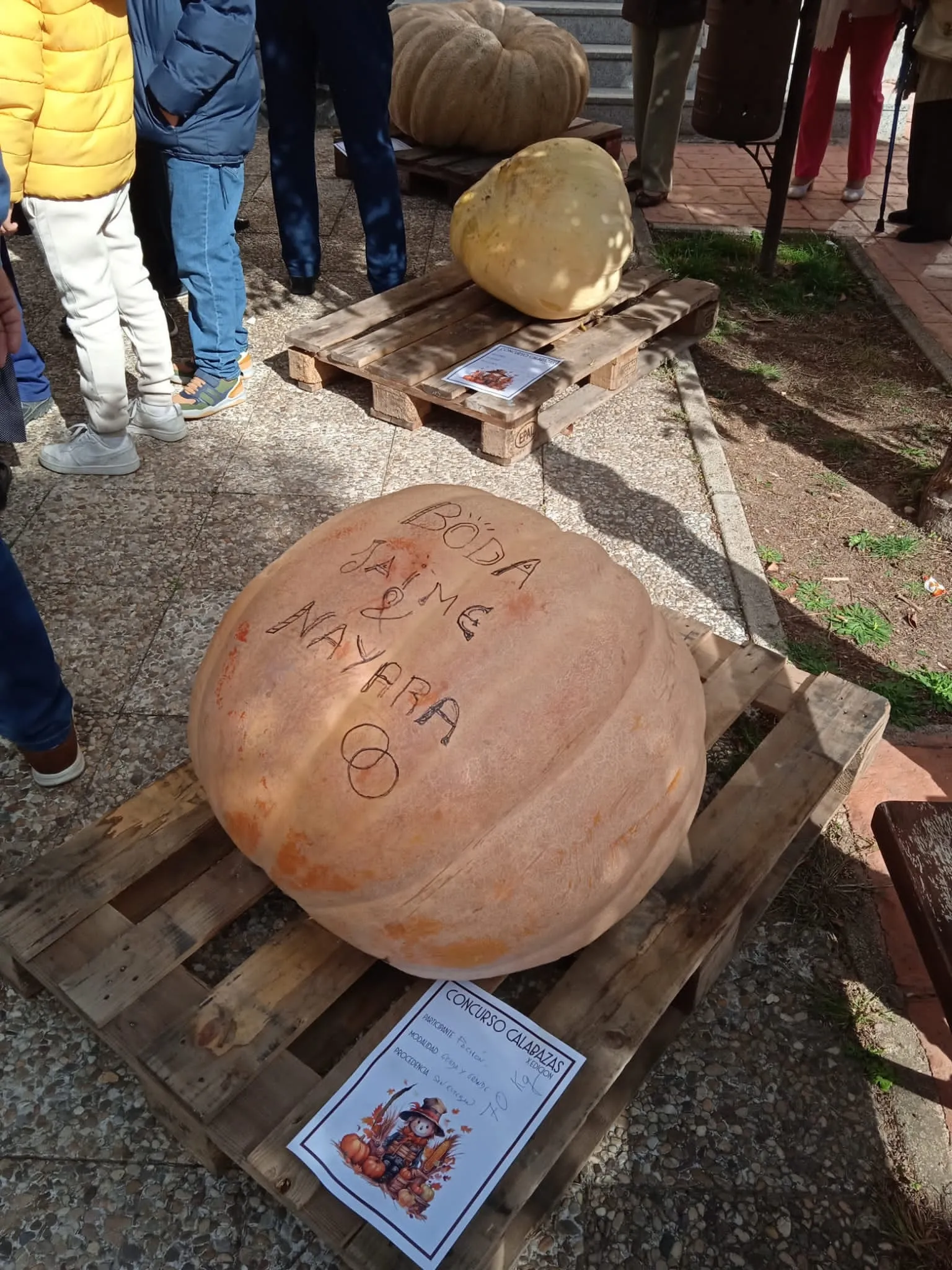 Foto 11 - Im&aacute;genes: &iquest;Sabr&iacute;as adivinar cu&aacute;nto pesa esta calabaza?