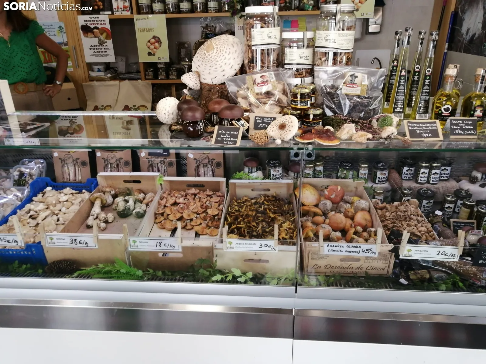 Foto 2 - Este es el precio (actual) de las setas y hongos en Soria