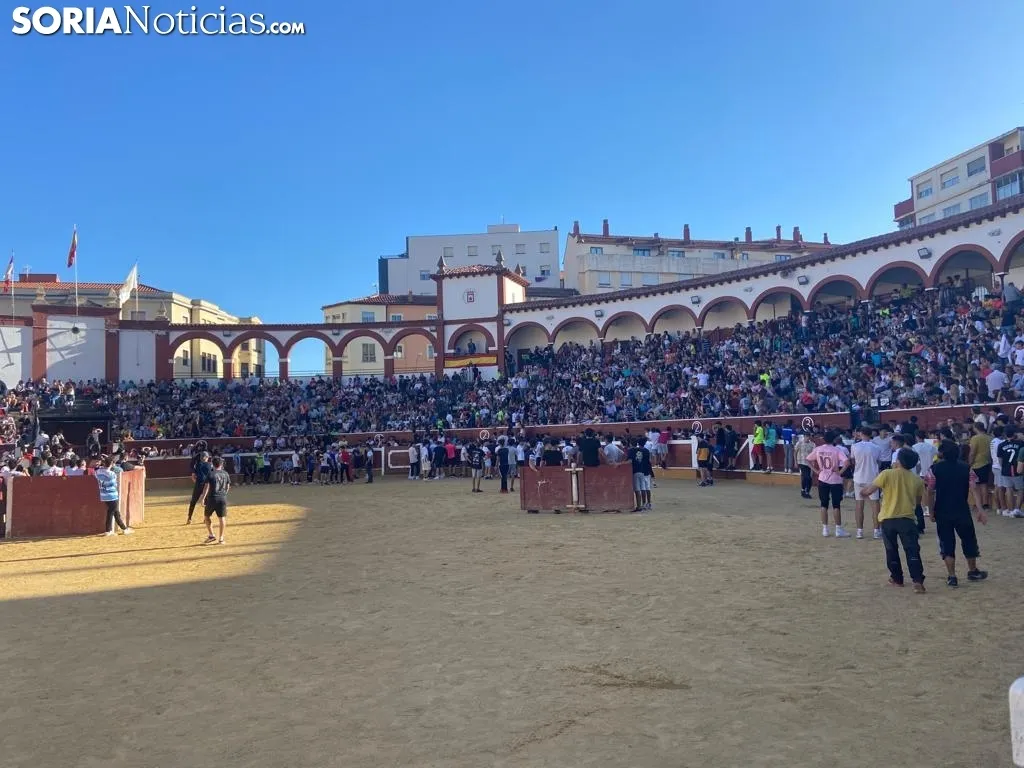 Foto 7 - Se suspenden las vaquillas de San Saturio ante la ausencia de los certificados de nacimiento de los animales