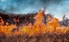 Foto 1 - En investigación un incendio en Barbolla (Quintana Redonda)