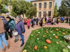 Foto 4 - Im&aacute;genes: &iquest;Sabr&iacute;as adivinar cu&aacute;nto pesa esta calabaza?